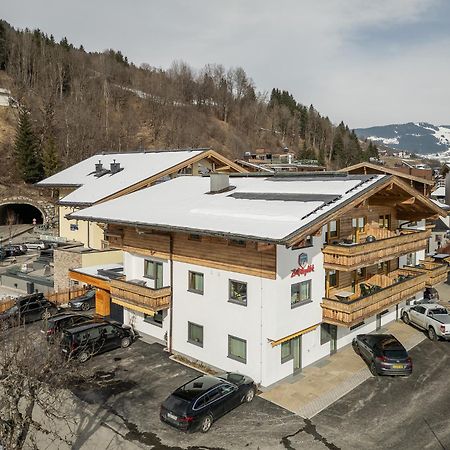 Appartements Zwoelferkogelblick ザールバッハ・ヒンターグレム エクステリア 写真
