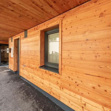 Appartements Zwoelferkogelblick ザールバッハ・ヒンターグレム エクステリア 写真